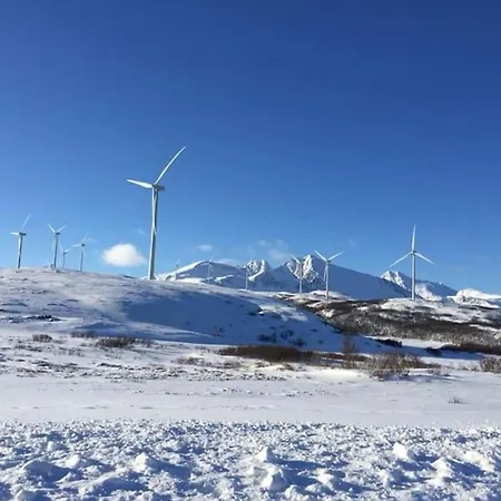 Aurora Hav Og Fjell Vannoya Karlsoy