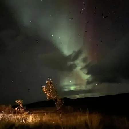 Aurora Hav Og Fjell Vannoya * Karlsoy