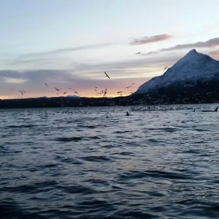 Aurora Hav Og Fjell Vannoya Holiday home *