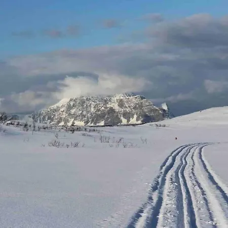 Aurora Hav Og Fjell Vannoya *