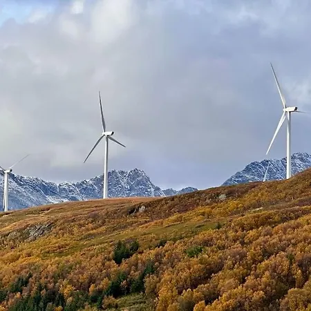 Aurora Hav Og Fjell Vannoya * Karlsoy