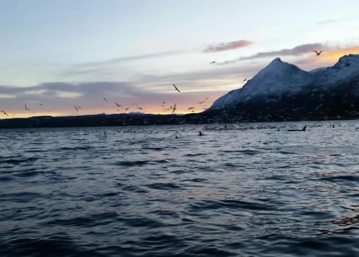 Aurora Hav Og Fjell Vannoya Casa vacanze *