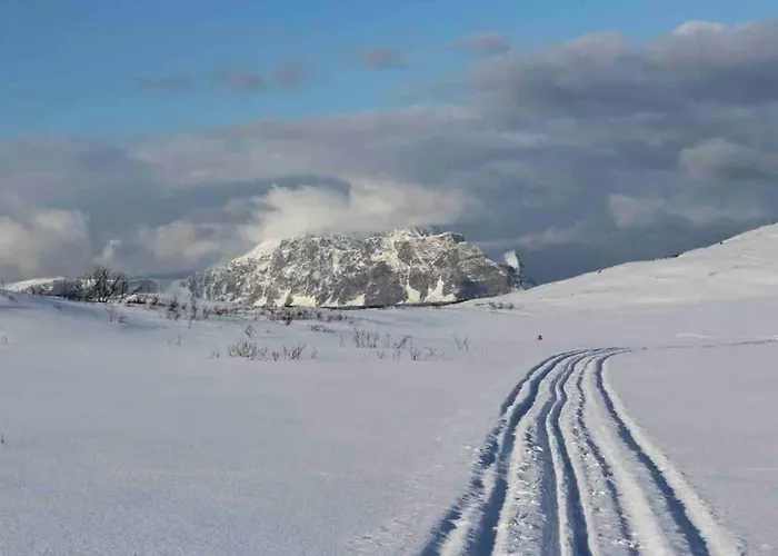 Aurora Hav Og Fjell Vannoya *